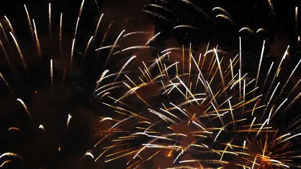 Fireworks Exploding in Sky Fireworks Exploding in Sky