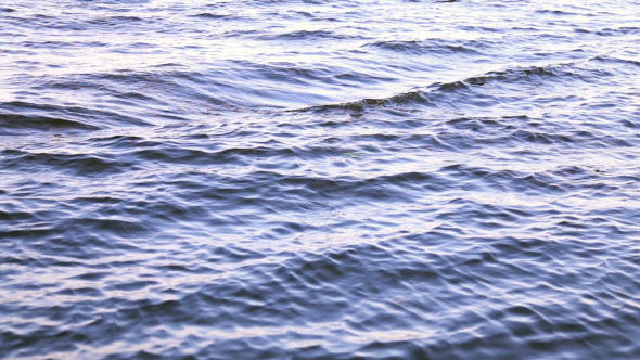 The Waves of the Sea The Waves of the Sea