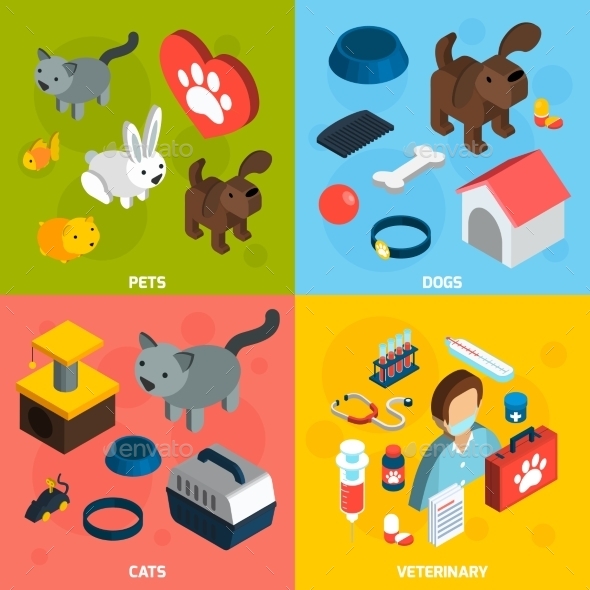 Pets Veterinary Isometric Set