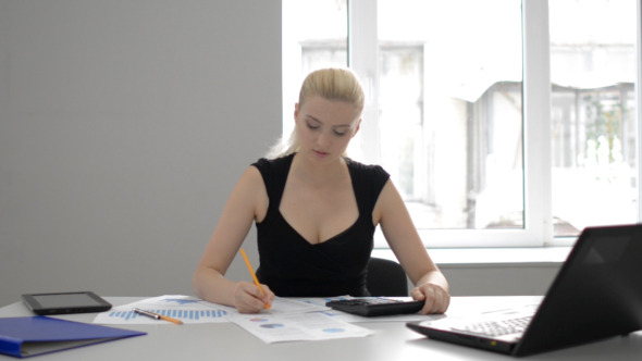 Businesswoman Financial Work Businesswoman Financial Work