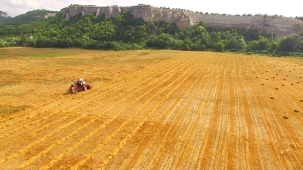 Grain Combine Harvester Working In Farm Field