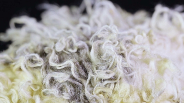 Fake Fur Texture alt