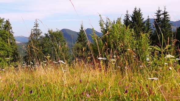 Mountain Landscape Mountain Landscape