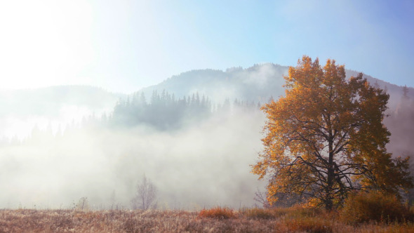 Autumn Morning Mist in the Mountains Autumn Morning Mist in the Mountains