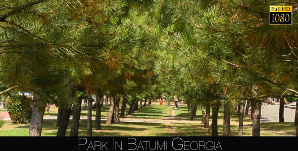 Park In Batumi alt