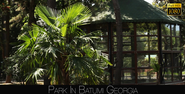 Park In Batumi 2 Park In Batumi 2