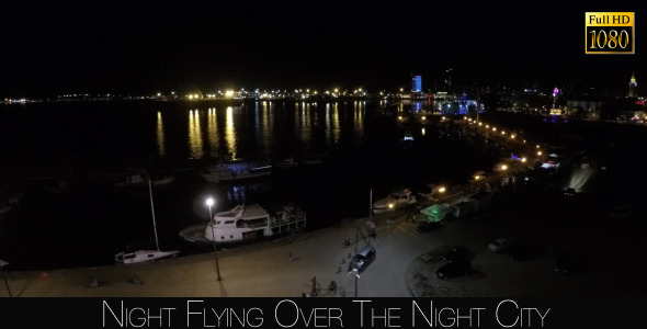 Night Flying Over The Night City