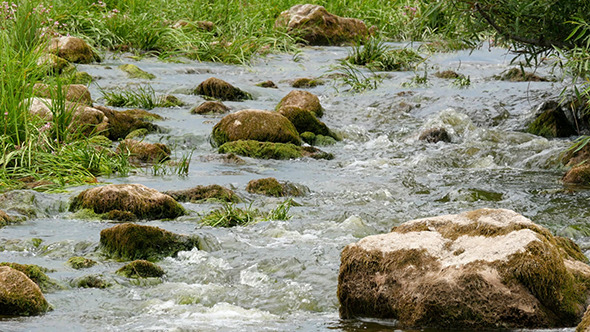 Landscape Of The River With Stones And Reeds Landscape Of The River With Stones And Reeds
