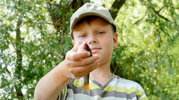 Boy Holding A Fish In His Hand Boy Holding A Fish In His Hand