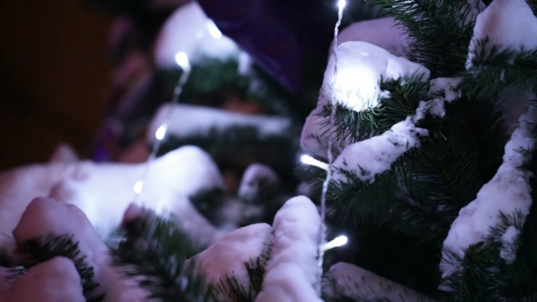 Illumination On Christmas Tree CU