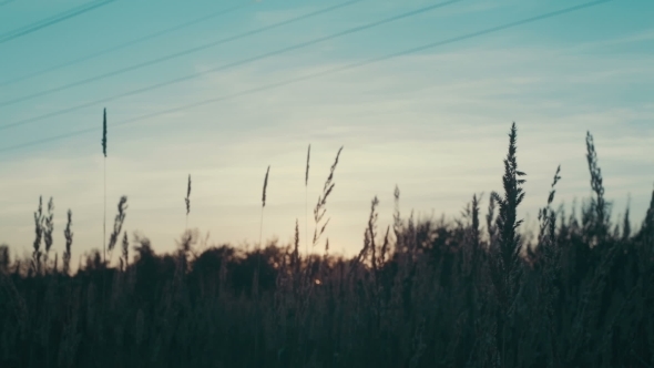 Field Of Grass During Sunset Field Of Grass During Sunset