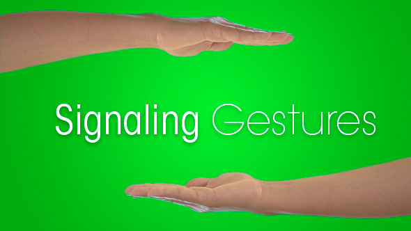 Signaling Gestures Signaling Gestures