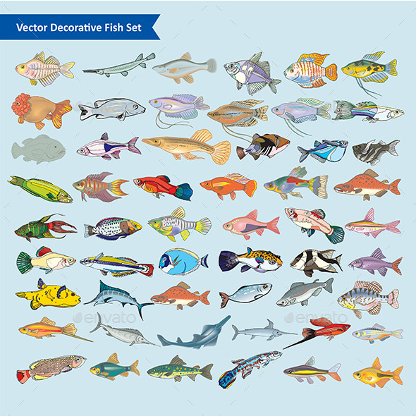 Collection of Fish Collection of Fish