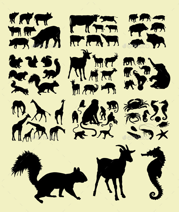 Animal Silhouettes Animal Silhouettes