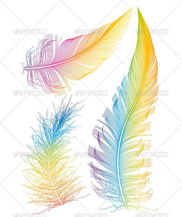 Colorful Vector Feathers - Organic Objects Objects