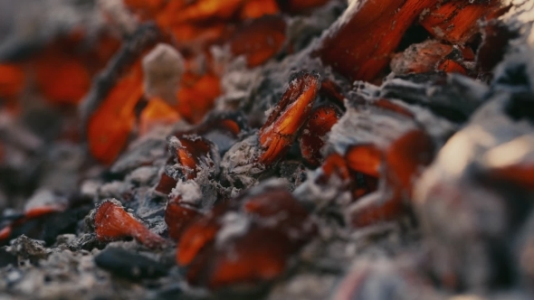 Burning Charcoal Burning Charcoal