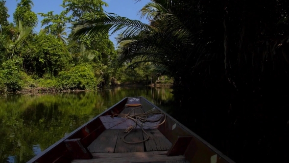 Fisherman Fishing In Amazon Jungle River Fisherman Fishing In Amazon Jungle River