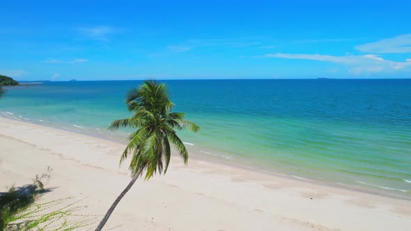 Drone flying over the coconut palms with the beach and the sea alt
