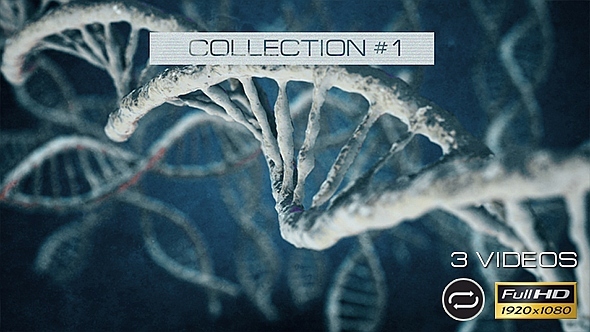 DNA - 3 Pack - Collection #1