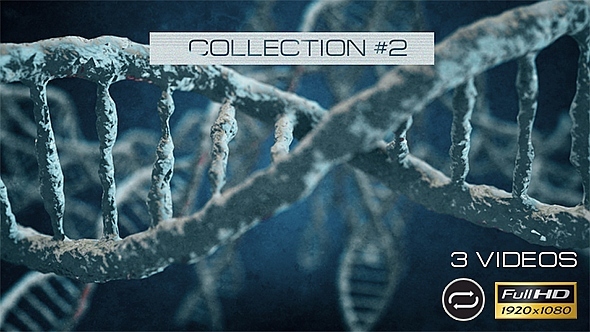 DNA - 3 Pack - Collection #2