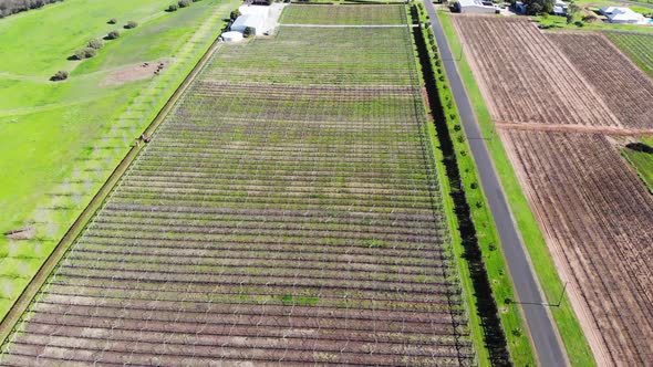 Aerial View of a Farmland in Australia alt