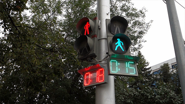 The Counter at the Traffic lights