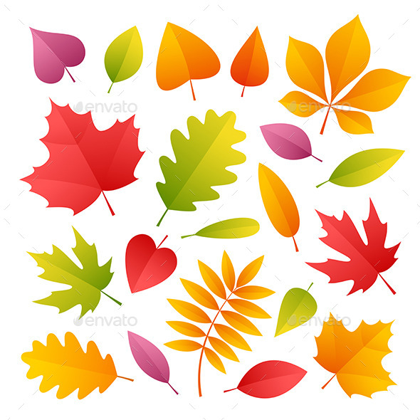 Set Of Colorful Autumn Leaves - Seasons Nature
