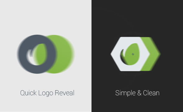 Quick Logo Reveal - VideoHive 12649876