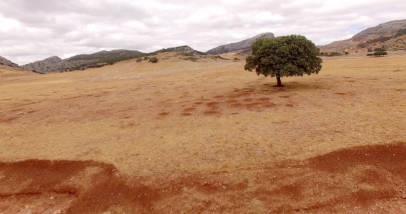 Aerial Drone Flight Over Dry Field Of Grass Aerial Drone Flight Over Dry Field Of Grass