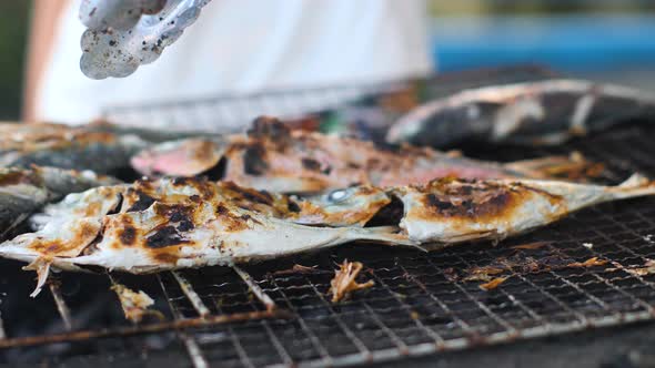 Close Up Shot of Delicious Fresh Fish on Iron Tray Being Grilled on Charcoal. alt