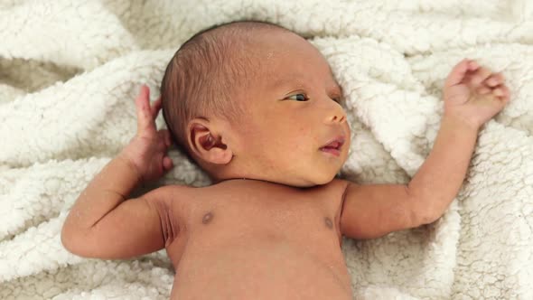 Newborn baby on soft blanket alt