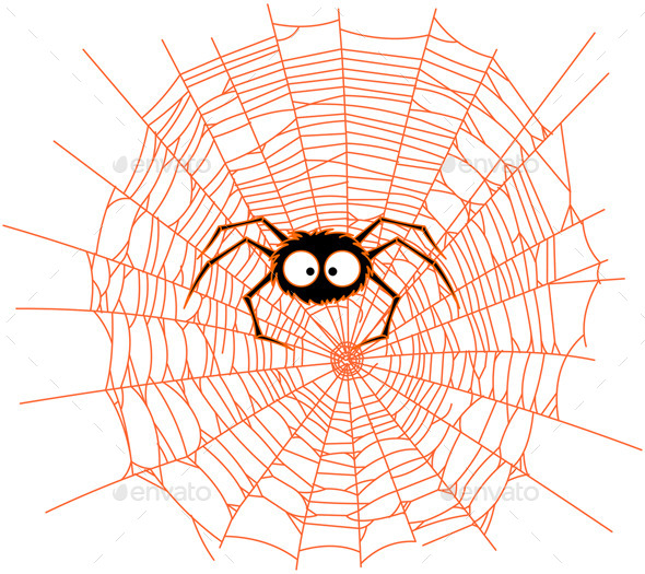 Spider Spider