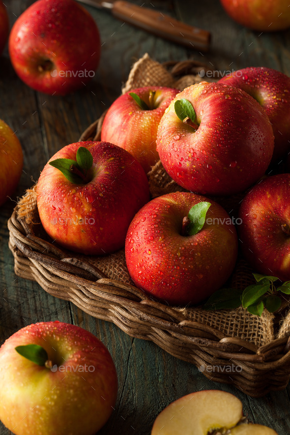 Raw Red Organic Gala Apples Stock Photo by bhofack2