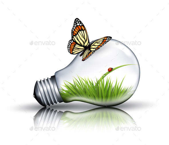Eco Light Bulb - Landscapes Nature