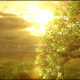 Nature Logo Reveal Nature Logo Reveal - VideoHive Item for Sale