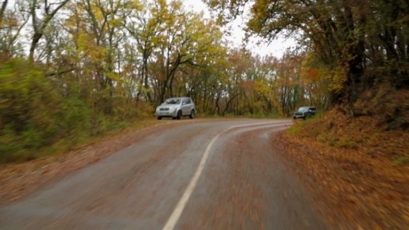 Car Moving In Autumn Forest Along Winding Road