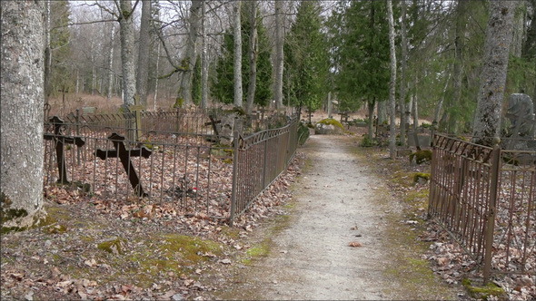 Walktrough Along the Cemetery 