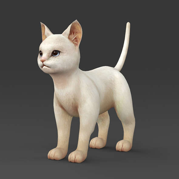 White Kitten - 3Docean 12713688