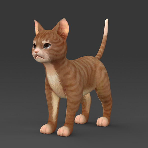 Brown Kitten Brown Kitten