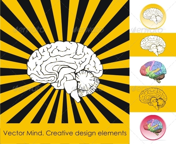 Human brain. Creative design elements. - Vectors