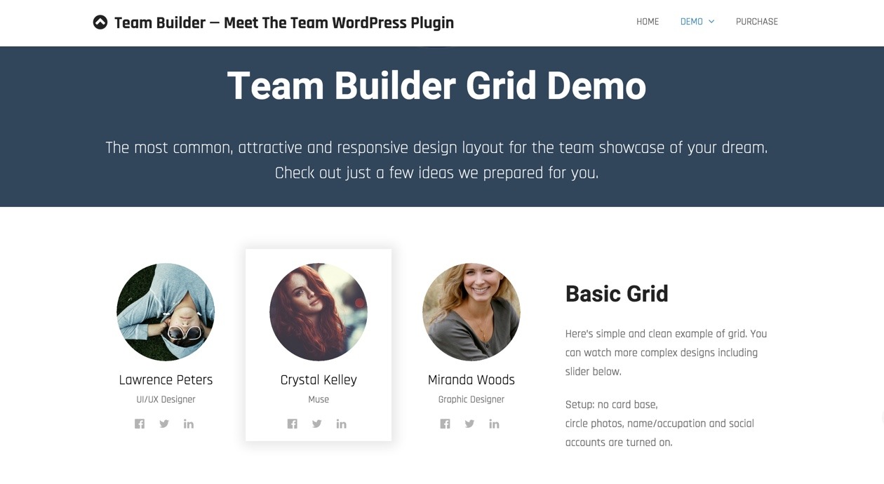 WordPress Team Members Plugins