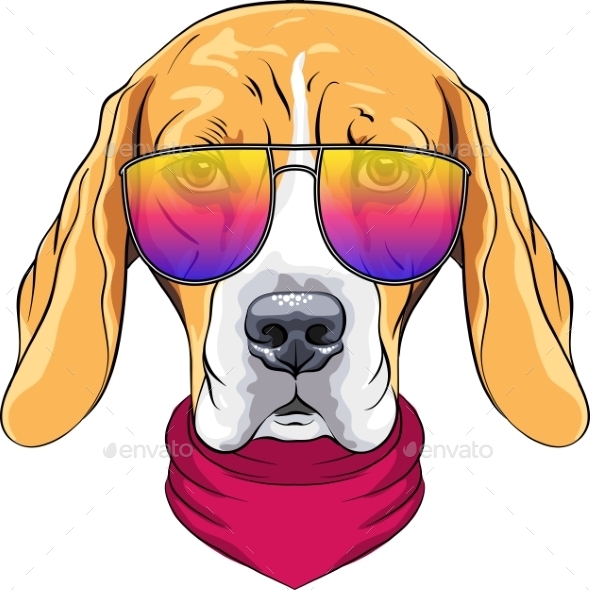 Vector Hipster Serious Dog Beagle In Glasses Vector Hipster Serious Dog Beagle In Glasses