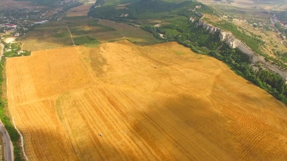 Aerial View Of Yellow Agricultural Field
