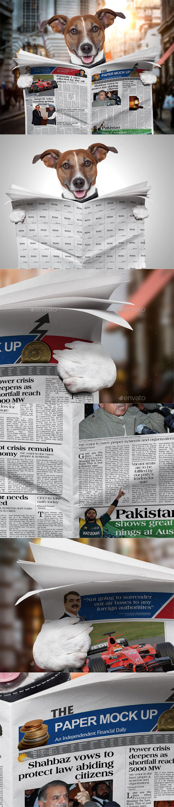 Dog Newspaper Mock Up - Miscellaneous Print