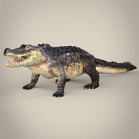 Realistic Crocodile - 3Docean 12725584