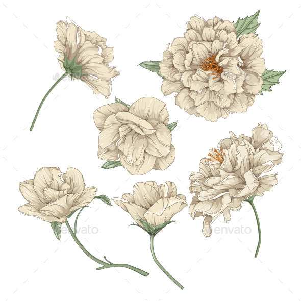 Floral Design Elements Floral Design Elements