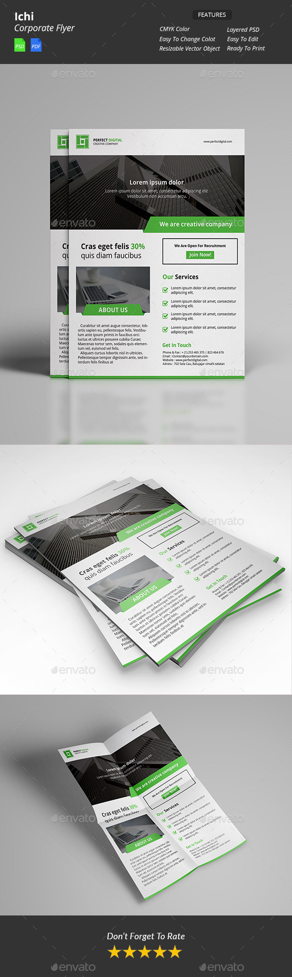 Ichi Corporate Flyer Ichi Corporate Flyer