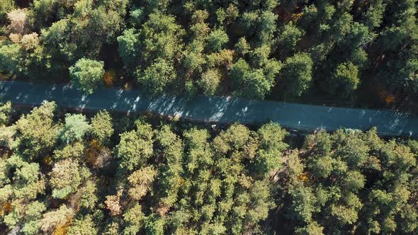 Aerial View - Road Trip, Endless Road. Road in the woods from above, drone picture alt