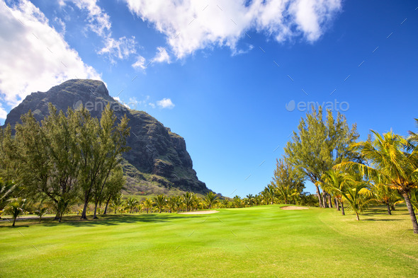 Golf Course in Mauritius - Stock Photo - Images