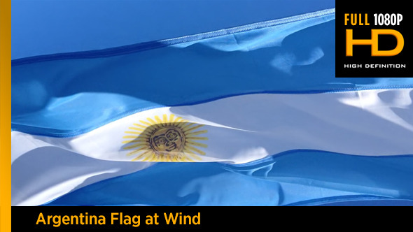 Argentina Flag South America